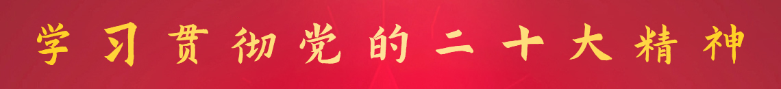 二十大精神